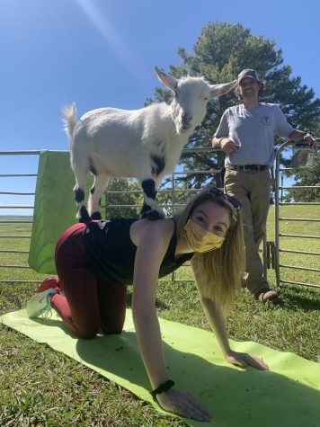When COVID hit in 2020, my college did everything possible in the fall semester to try and create as much normalcy as possible. Homecoming week, loved by all students, was our saving grace. The University Programming Council hosted a week full of events to get students out and about, including goat yoga. This being one of my favorite activities on my bucket list, I HAD to go and dragged my roommate with me.