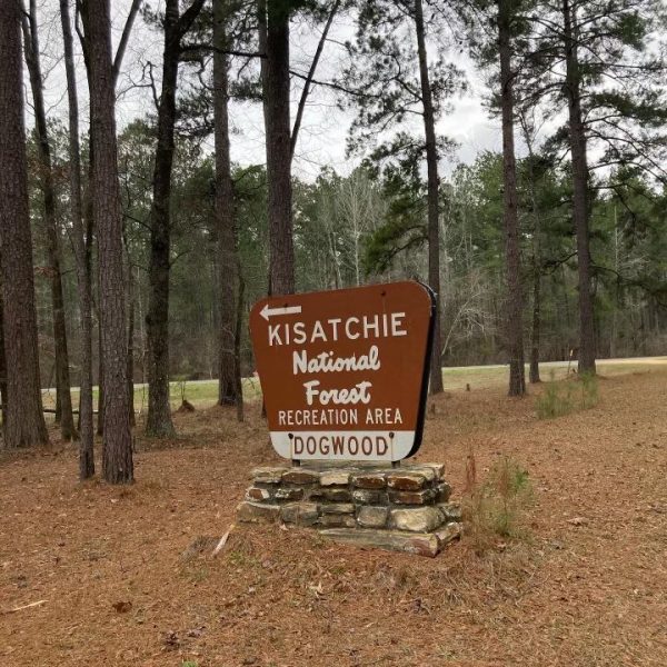 Grab a couple of friends, take a mini 45-minute road trip to Kisatchie Falls and see where a trail takes you.