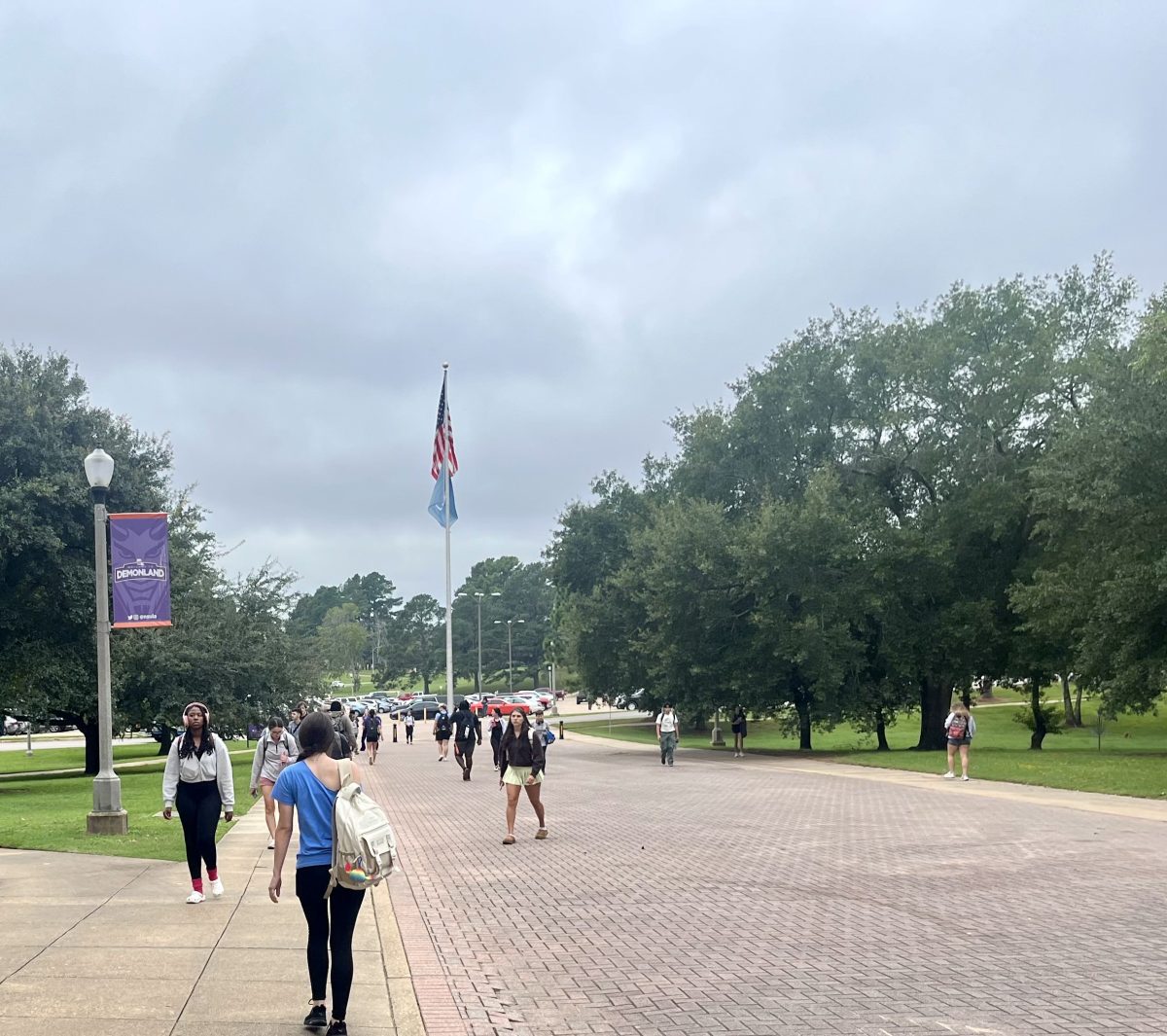 NSU currently has 8,523 students enrolled for the Fall 2024 semester.