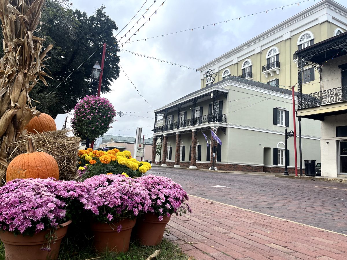 Even before sweater season, lights are strung across town in preparation for the festival which presents over 300,000 lights.