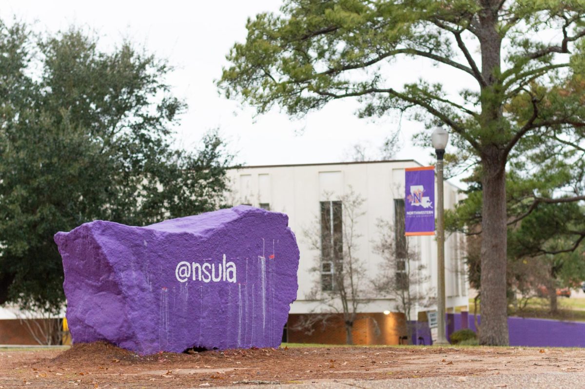 Following the hearing held last semester, the Committee on Organizations approved Turning Point USA to become a Recognized Student Organization at NSU.