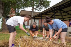 NSU students volunteering for [1 of 7] Service Kickoff.